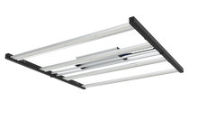 Load image into Gallery viewer, Master 4 Veg
